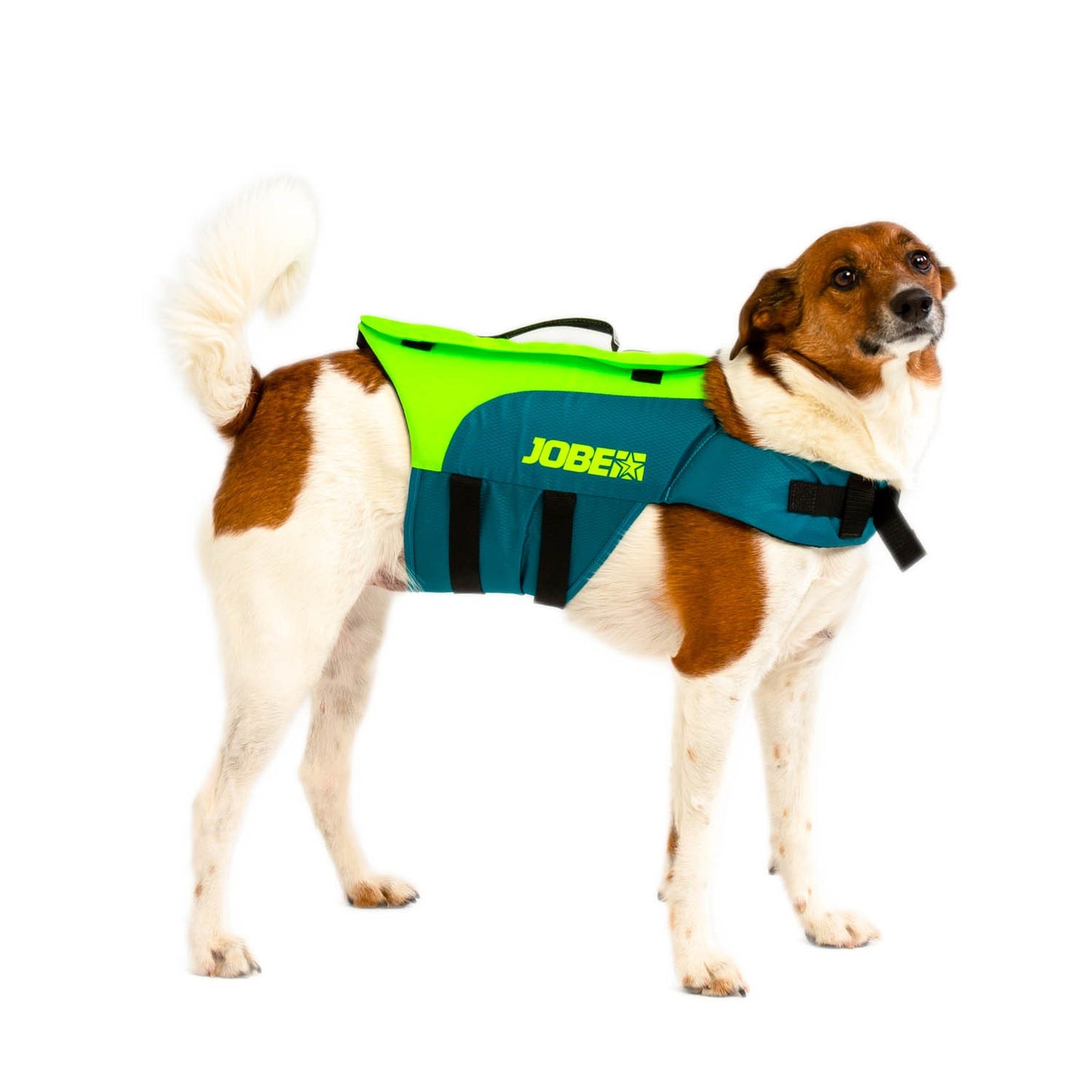 Jobe Gilet pour animaux de compagnie Lime Sarcelle