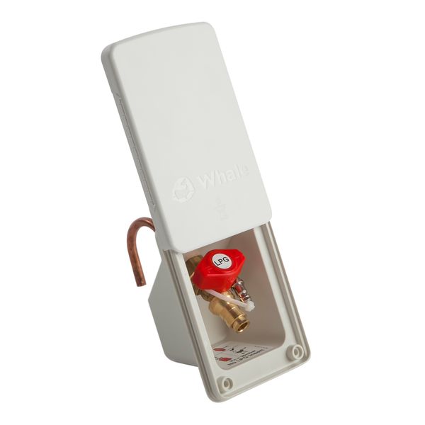 Prise de sortie externe pour barbecue Whale UK