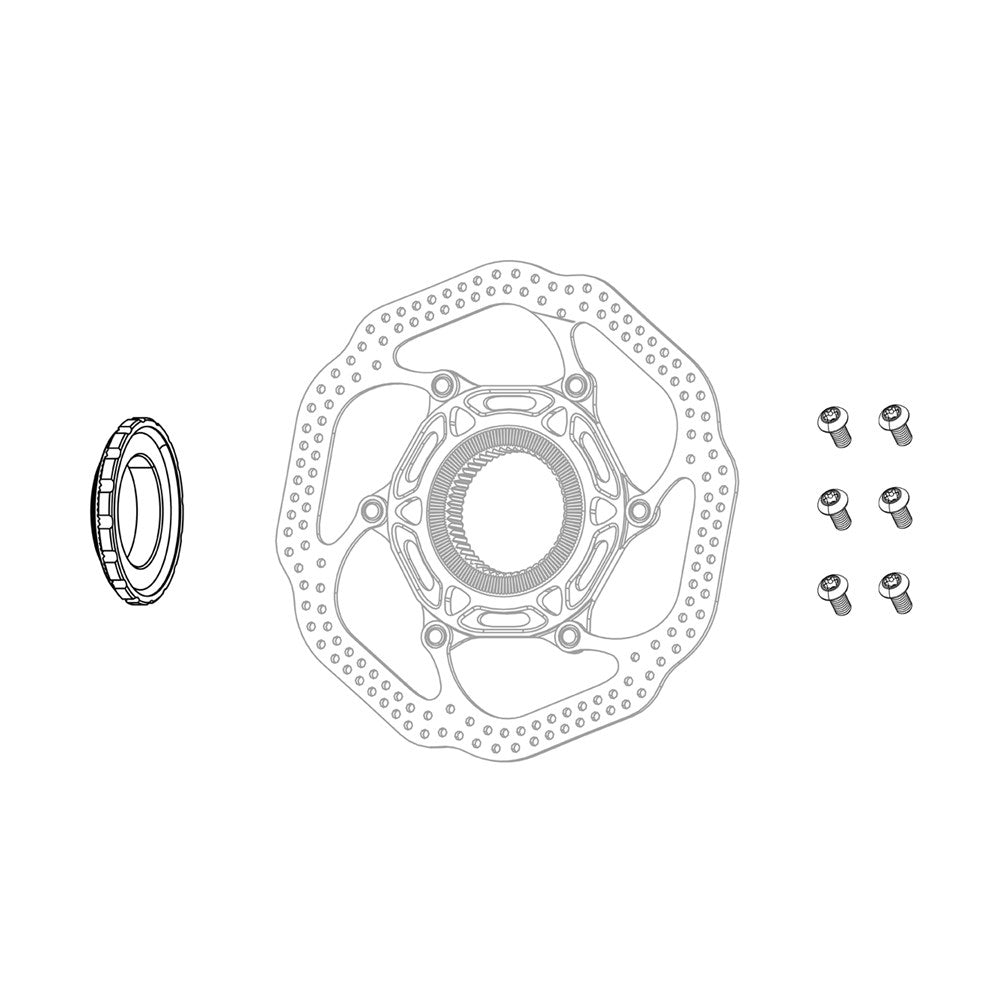 AVID ERSATZTEIL – ROTORBOLZENSATZ – T25-STAHL (MENGE 24)