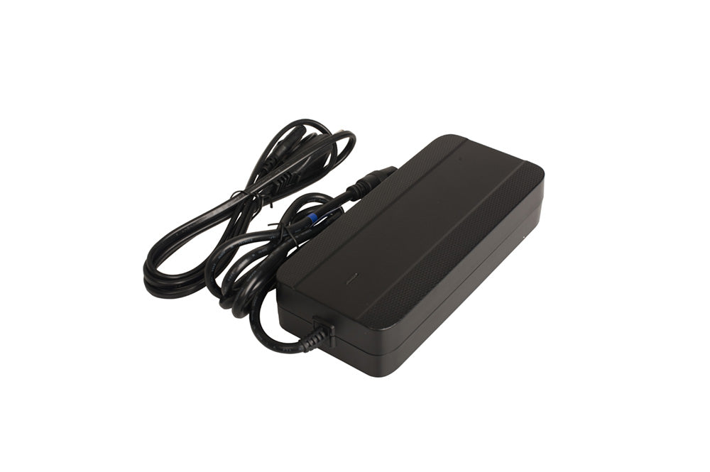Raleigh E MOTION CHARGER 4 AMP