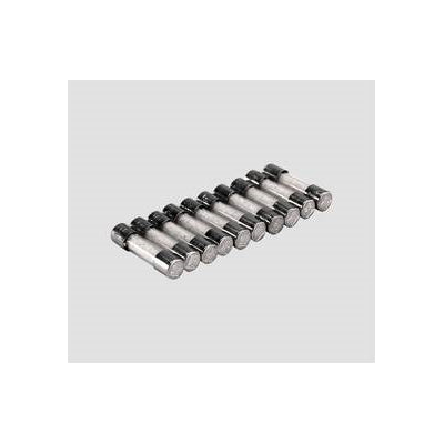 Truma Feinsicherungssatz 10 AF 10er Pack