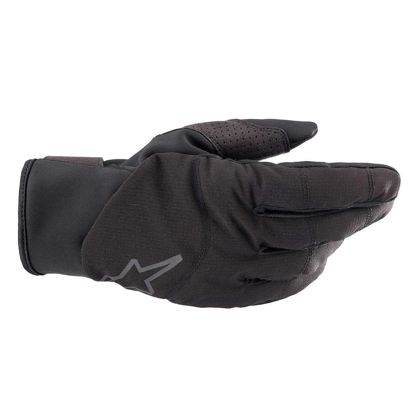 ALPINESTARS DENALI 2 HANDSCHUHE