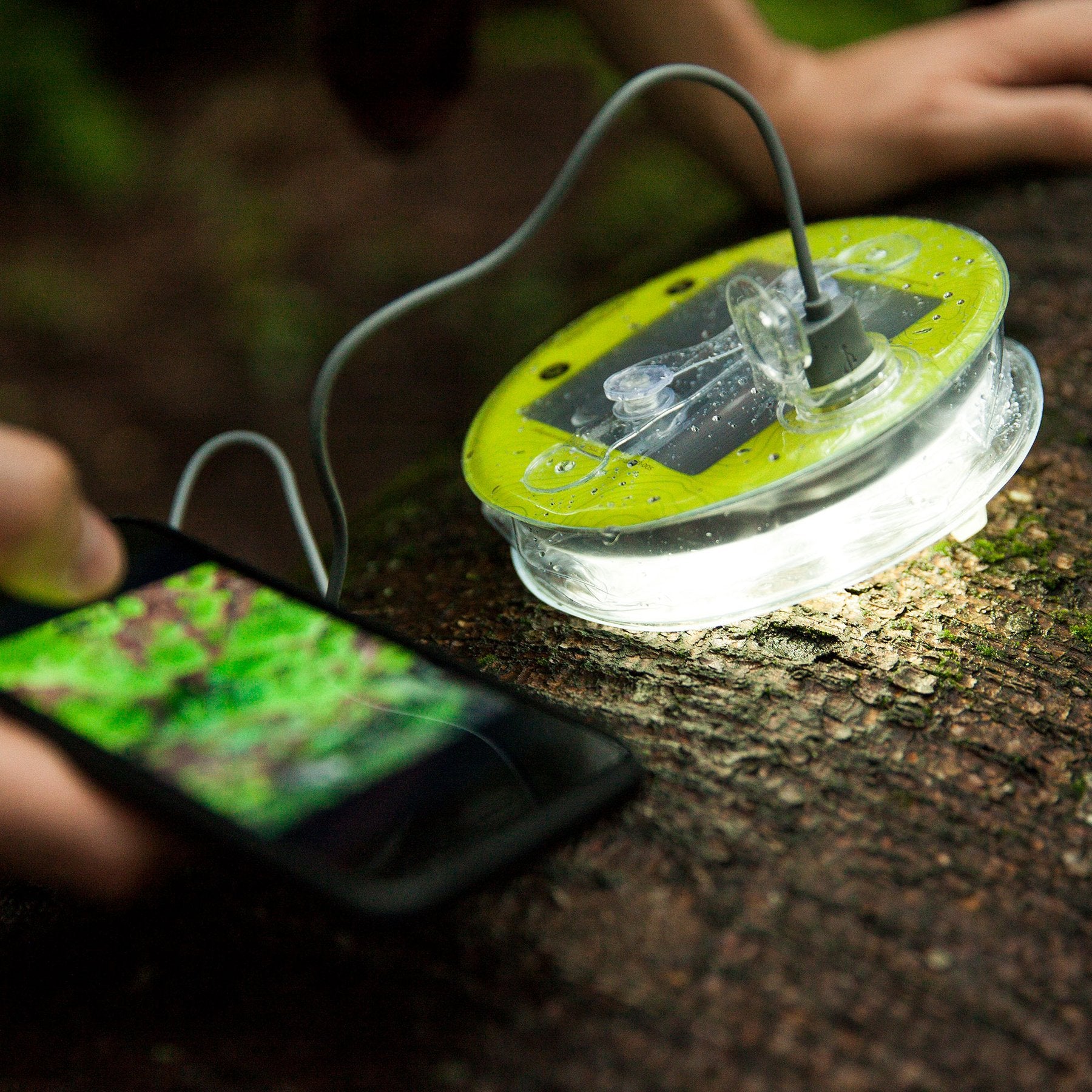 Solar lantern with on sale mobile charger