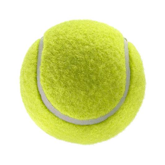 Balle de tennis pour chien Gioco