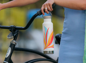 Klean Kanteen Insulated Classic w/ Loop Cap 592ml - Retro Swish