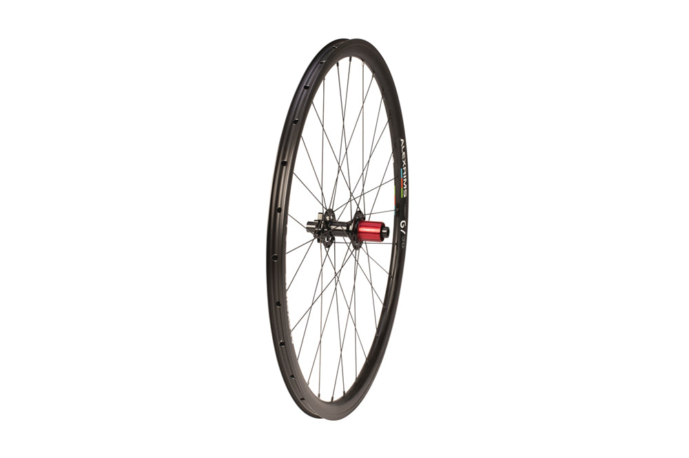 RSP 700c Rear Gravel Disc Wheel Alex/Chosen