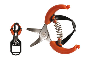 Gerania Petits Ciseaux à Agrumes et Fruits